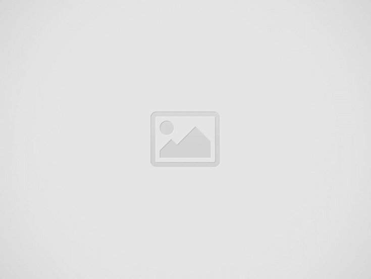 AZX – Votre Solution de Référence pour des Machines de Fabrication de Tissus Non-Tissés de Haute Qualité